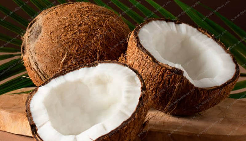Coconut