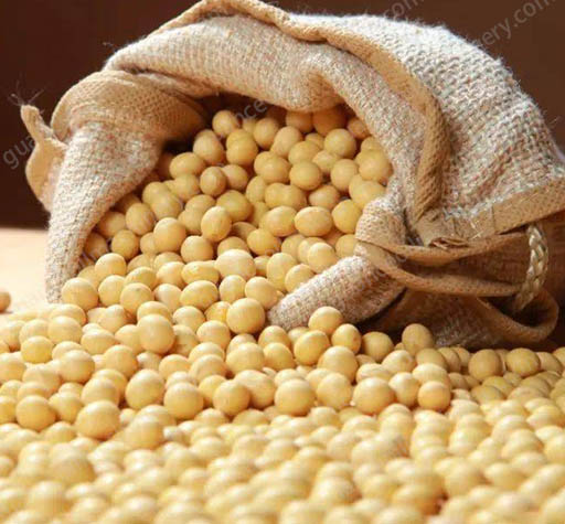 Edible Soybean
