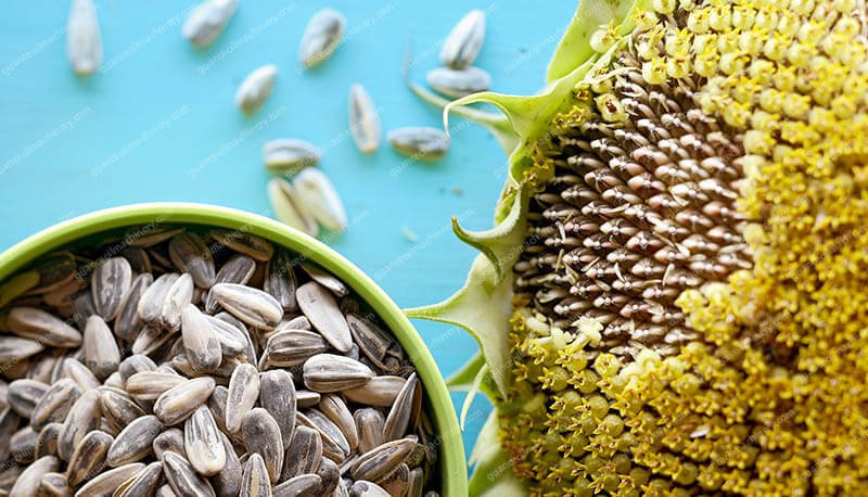 Sunflower Seed