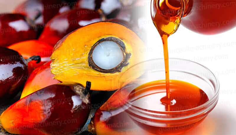Crude Palm Oil