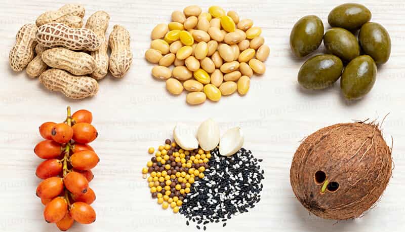 Multi-oilseed Compatible