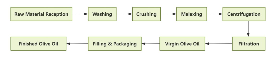 Olive Oil Processing Steps