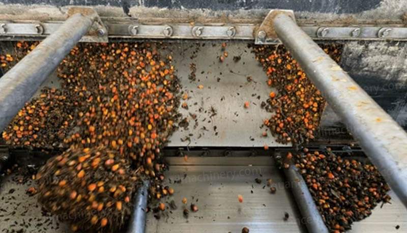 Palm Oil Pressing