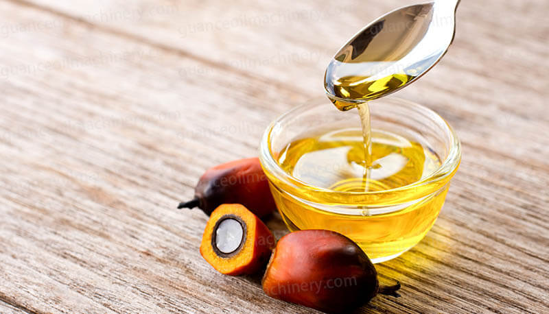 Palm Oil Processing Plant