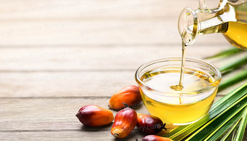 Palm Oil Processing