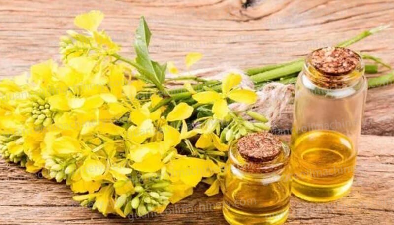 Rapeseed Oil Processing Plant Equipment and Machinery