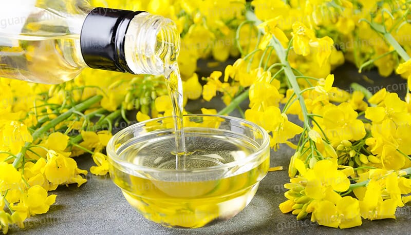 Rapeseed Oil Processing