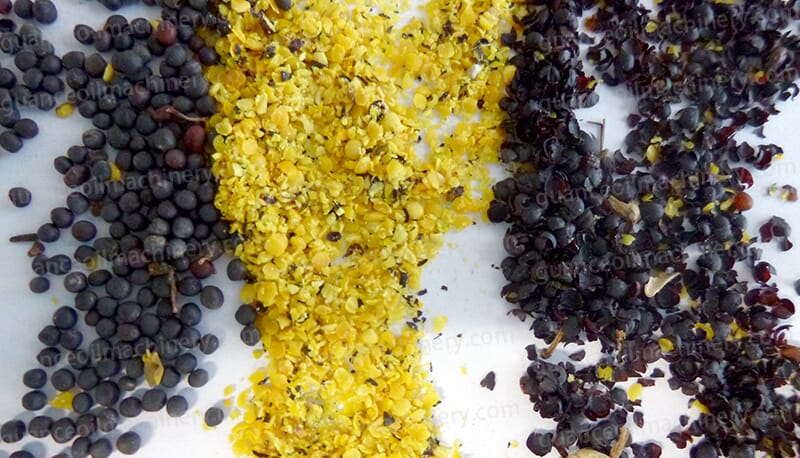 Rapeseeds Oil Pressing