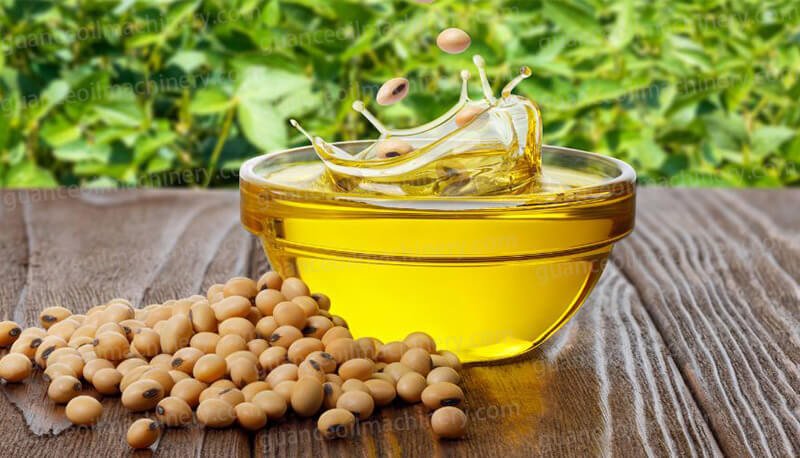 Soybean Oil Processing Equipment Functions and Machinery
