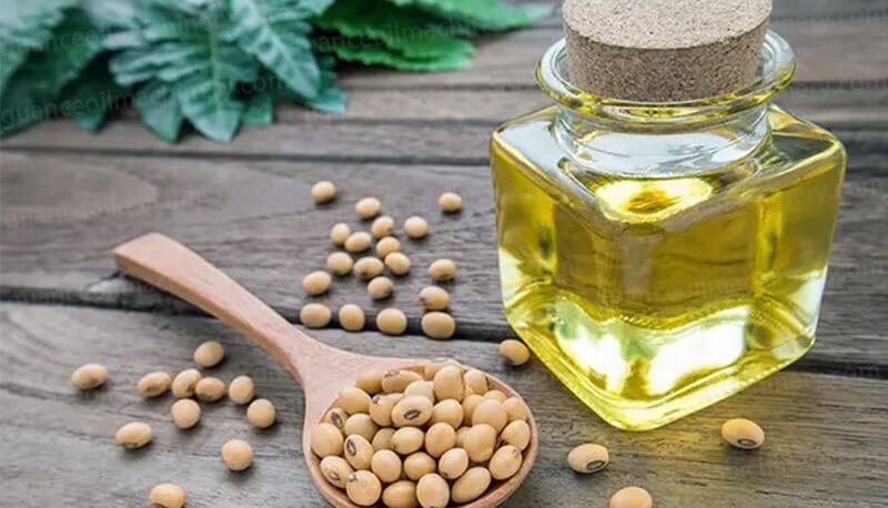Soybean Oil Processing Plant