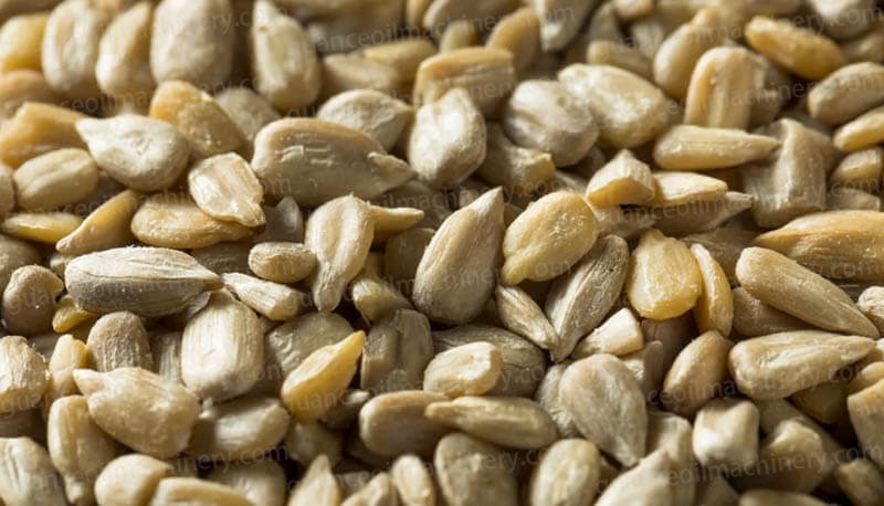Sunflower Seed Oil Pressing