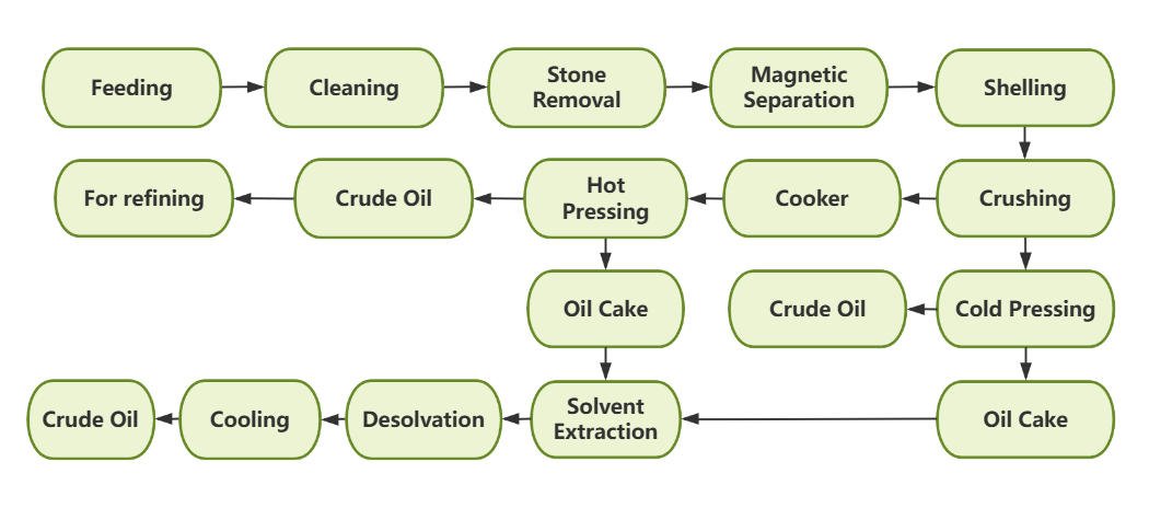 Oil Pressing Flow Chart