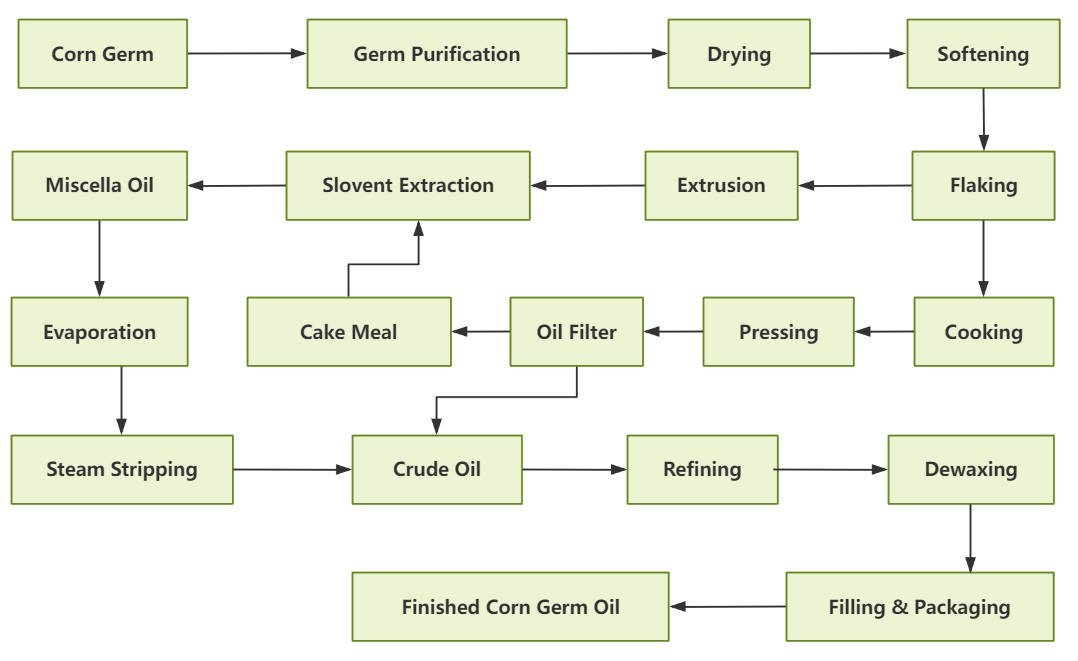 Corn Germ Oil Processing Steps