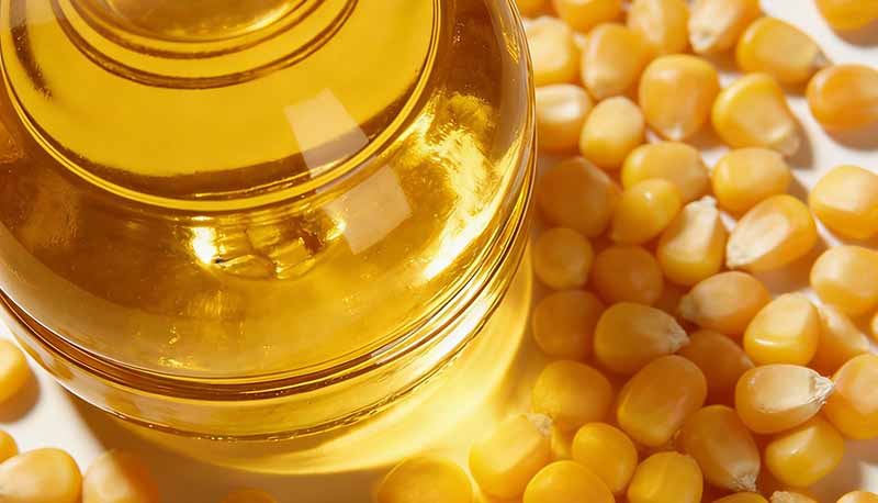 Corn Germ Oil