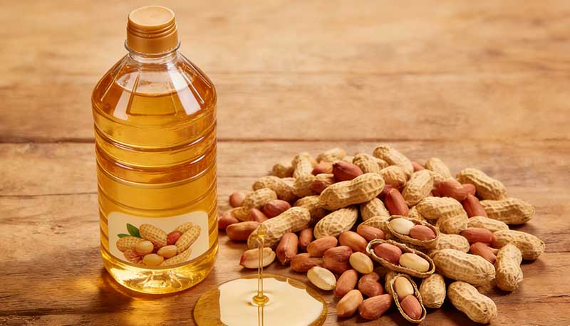 Groundnut Oil Refinery