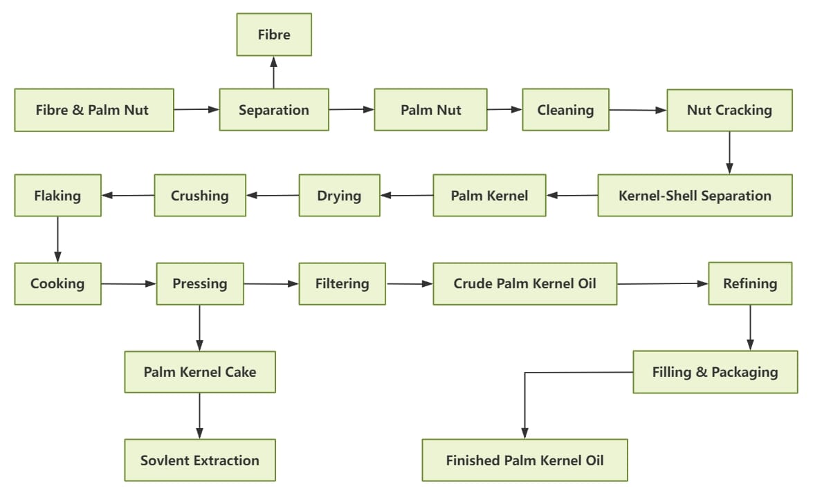Palm Kernel Oil Processing Steps