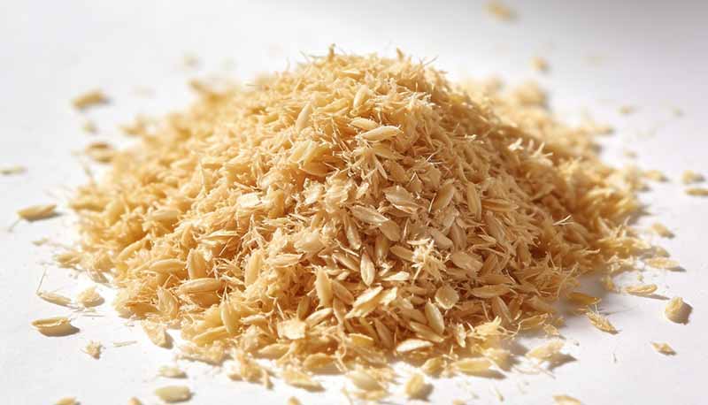 Rice Bran