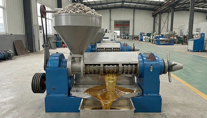 High-efficiency cottonseed oil press machine