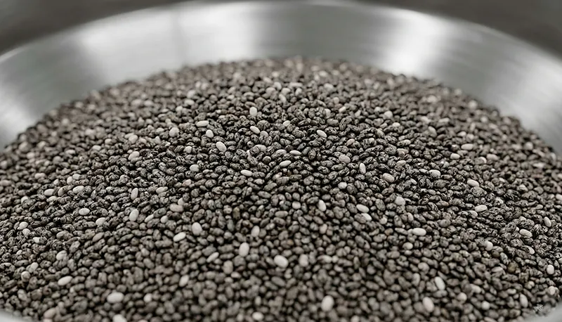 bulk-raw-chia-seeds-stainless-steel-hopper-pretreatment