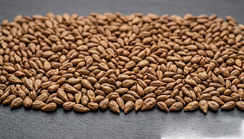 Macro photograph of separated, clean, and dried grape seeds, ready for cold pressing or solvent extraction, displaying uniform brown color and texture.