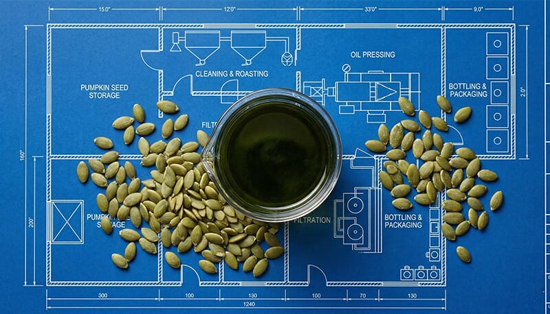 Overview of a Pumpkin Seed Oil Processing Plant blueprint and raw materials