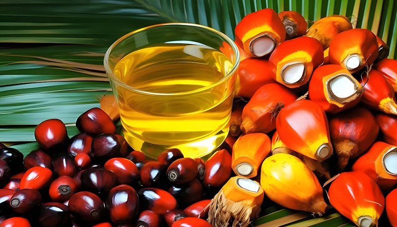 Palm-oil