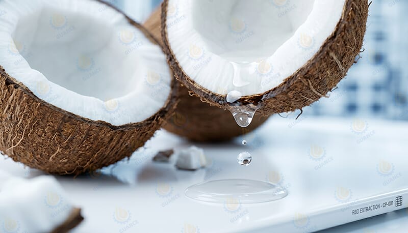 Cold Press Coconut Oil Extraction Equipment Details
