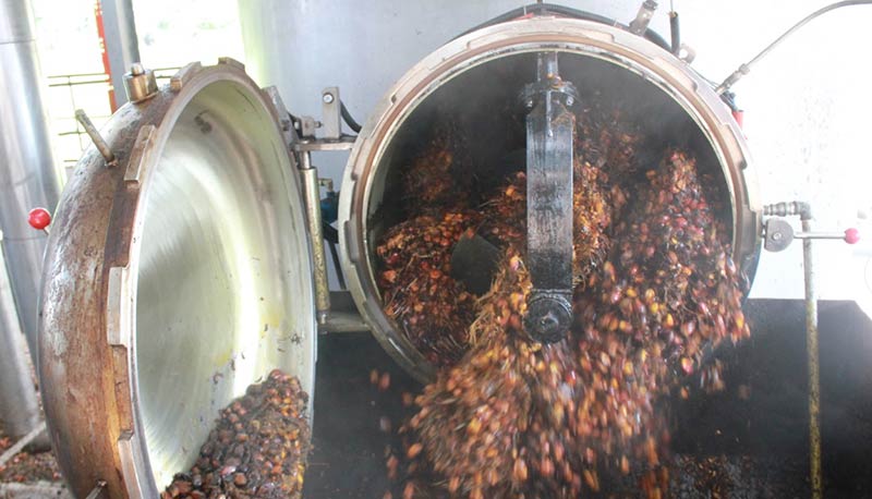 horizontial-sterilizer
