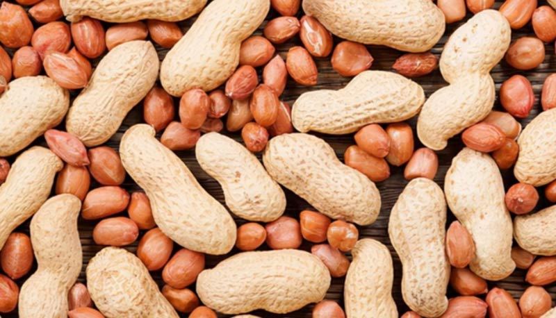 Peanut